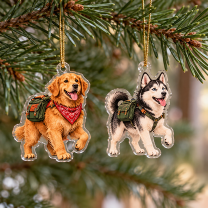 BigFoot & The Paw Patrol Advent Calendar